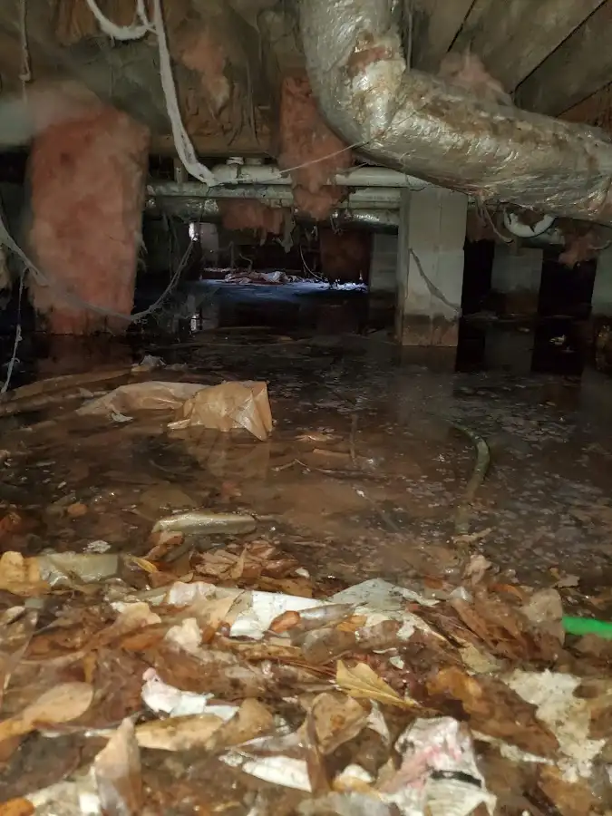 Crawl space flood assessment for Leak Detection & Repair in Apollo Beach