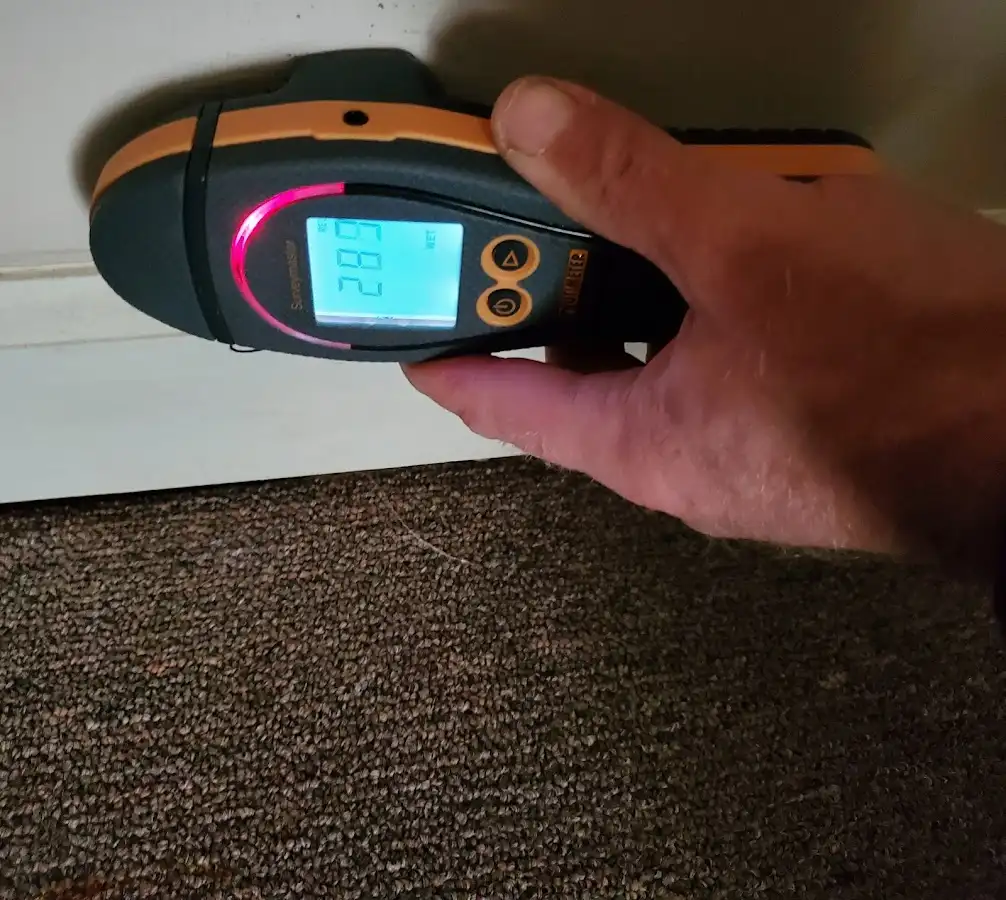 Moisture detection at baseboard during Burst Pipe Cleanup in Apollo Beach